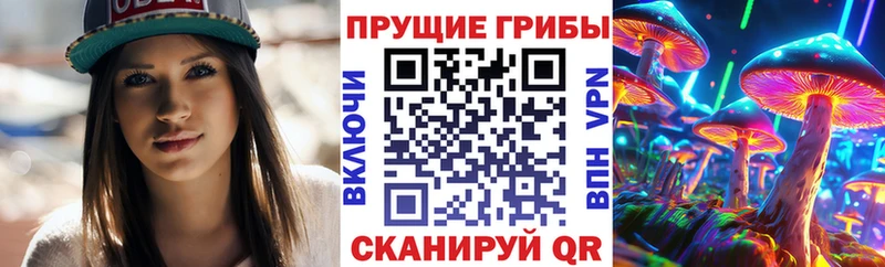 Галлюциногенные грибы Psilocybe Котлас
