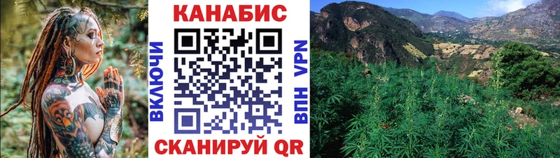 ссылка на мегу вход  Котлас  Конопля SATIVA & INDICA 
